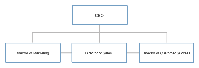 director-of-customer-success